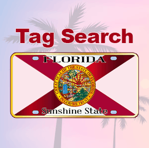 Florida Vehicle Tag Search